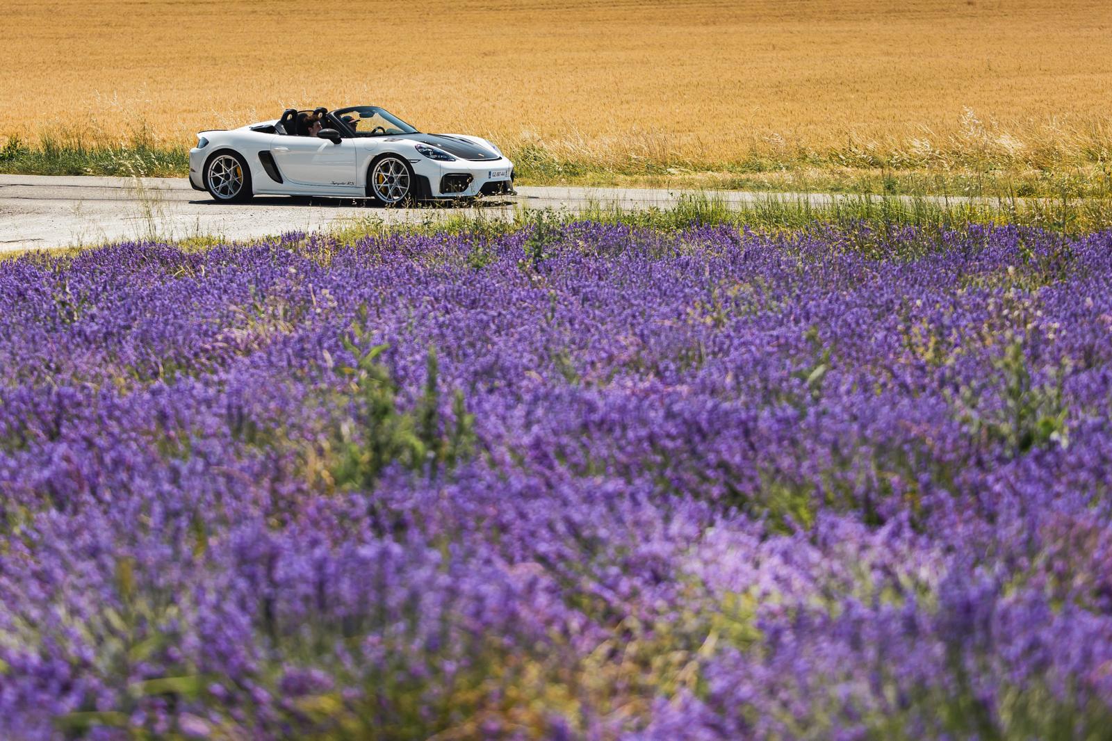 718 spyder rs_lavande