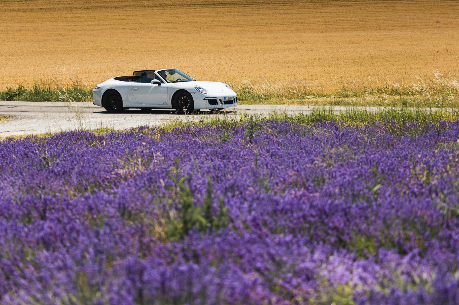 911 targa GTS_lavande