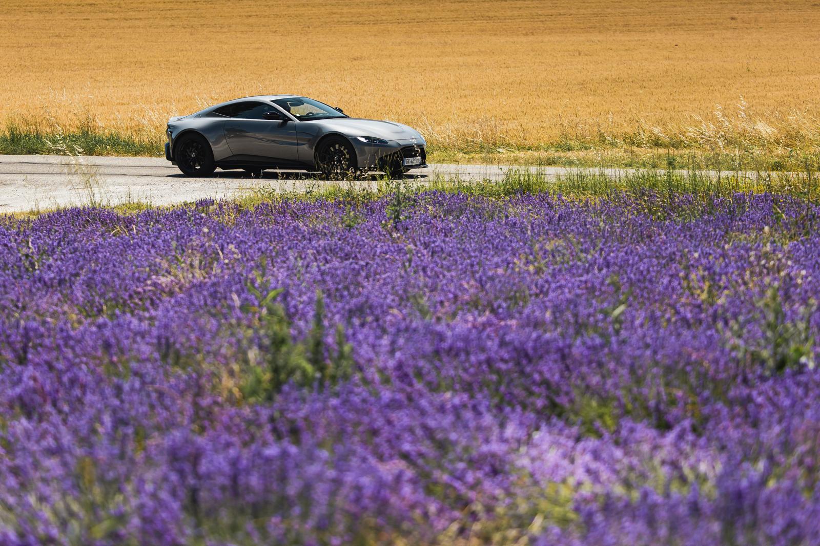 vantage_lavande
