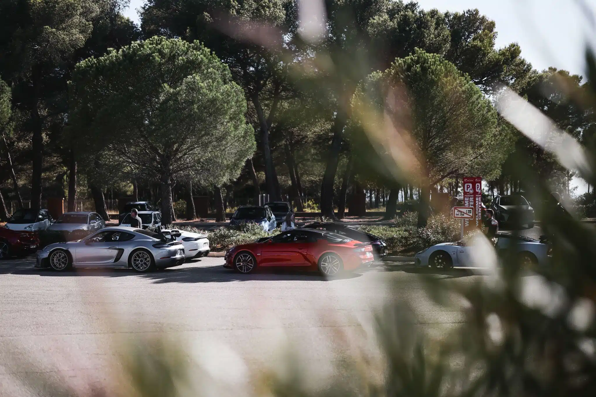 WhatsApp Image 2025-09-08 at 08.36.14 (4)